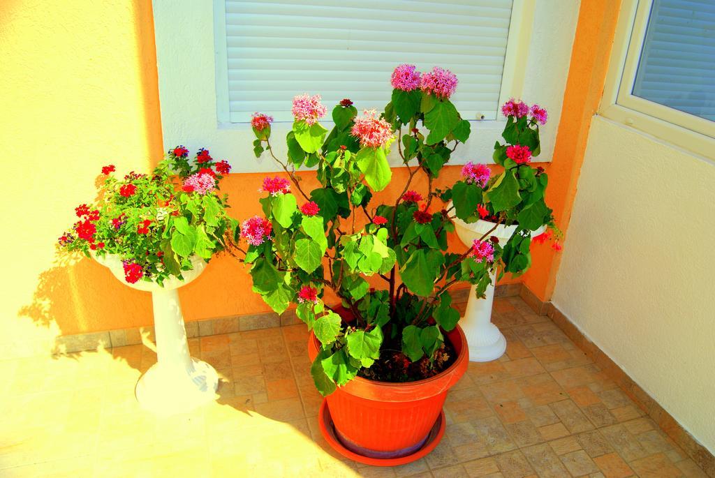 Guesthouse Vila Smilja Ποντγορίτσα Εξωτερικό φωτογραφία
